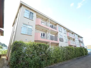 シャトレー新井の画像