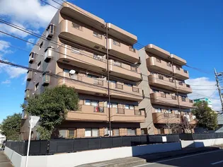 ヒルトークの画像