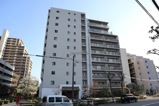 パークキューブ東品川【11階】の外観