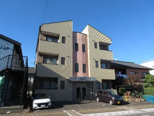 グレイス鴎の画像