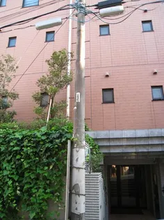 ラ フェニーチェの画像