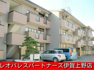 サランバン金剛Iの画像