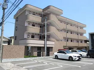 さくらそう上野の画像