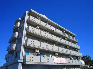 リバ-ハイツ【2階】の外観