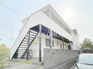 バイオレットの画像