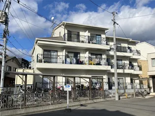 コスモクイーン津倉の画像