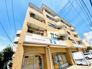 グレース秀和の画像