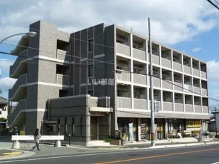 プリマ ステラの画像