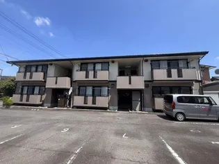 グレース樹木の画像