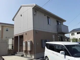 シャルマンMの画像