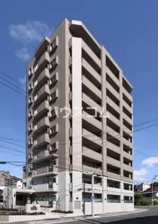 サンシエルの画像