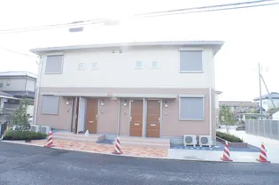 ラフィシアBの画像