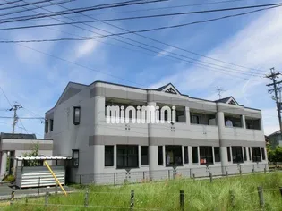 マーガレットスマイルの画像