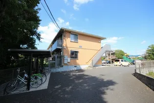 ドリームの画像