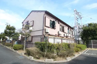 酒井文化の画像