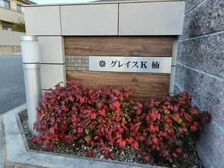グレイスK 楠 Bの画像