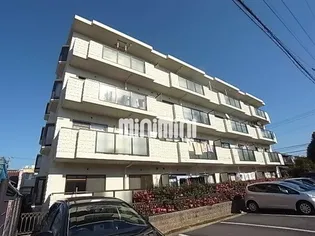 ドルフ花咲の画像