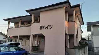 桂ハイツの画像