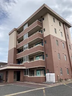 スカイLDの画像