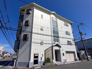 メゾンデールの画像