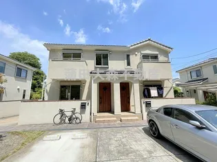 コート清陵の画像