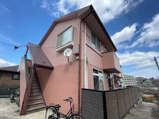 ロイヤルパインBの画像