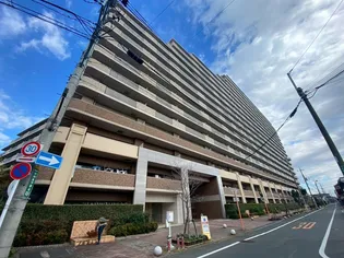 グランセリーナの画像