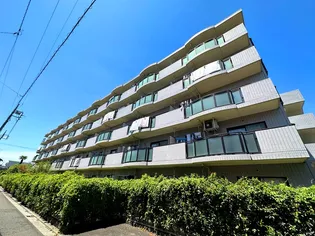 ひばり浦和の画像