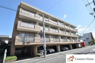 パエーゼFUJIIIIの画像