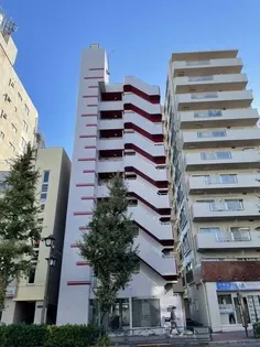 VOルサリーノ節和の画像