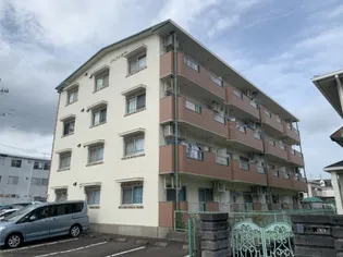 ジニアス塩澤の画像