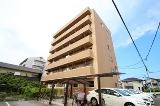 マ ベル エトワールの画像