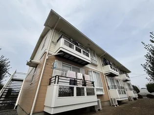 カンパーニュAの画像