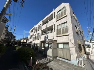 パインニードルの画像