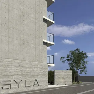 SYFORME KAWASAKIの画像