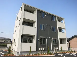 アミールSの画像