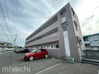 徳島県徳島市沖浜町栄開【マンション】の外観