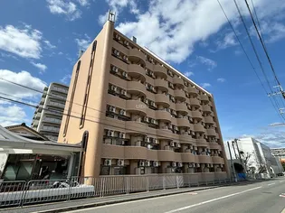ベアーレ芳樹の画像
