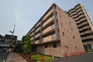 セレリーオ ニッコーの画像