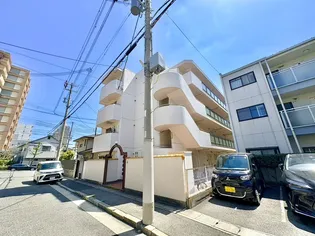 ギャラリティー白晃の画像