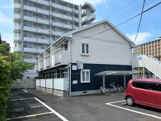 クリプトメリアの画像