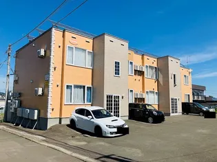 ネートの画像