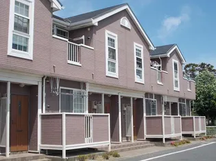 アースブラウンK TIIIの画像