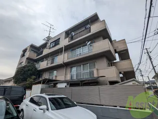 ハウスイレブンの画像