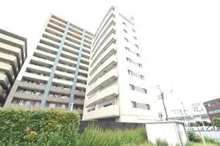 レビソールの画像