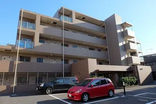 セルアロームの画像