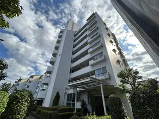 アーバンみらい東大宮東三番街第10号棟の画像