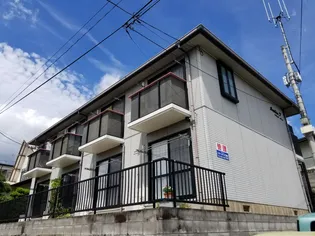 ソフィアTの画像