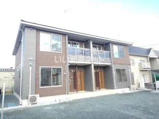 グロリアの画像