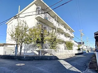 パレス セルシオIIの画像